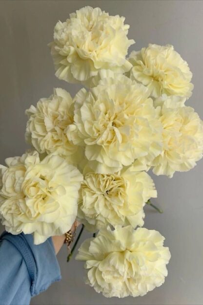 Conjunto Constanza✨(Butter Yellow Creamy) - Image 9